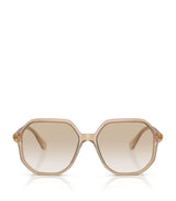 Harrods Swarovski Oversized SK6003 Sunglasses- Buy online at McGrocer