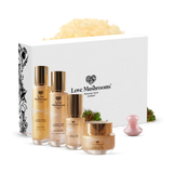 Holland & Barrett Love Mushrooms Collagen Truffle Skincare Gift Set- Buy online at McGrocer