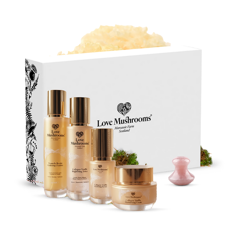 Love Mushrooms Collagen Truffle Gift Set - British product