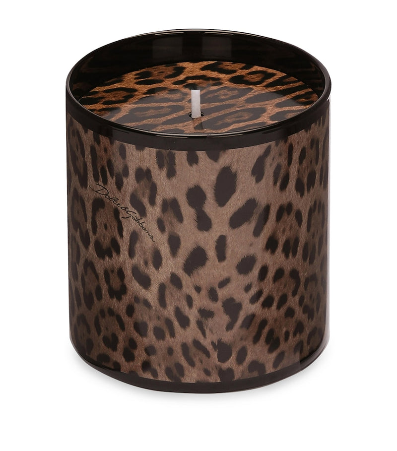 Dolce&Gabbana Casa Leopardo Patchouli Candle 380g - British product