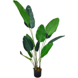 Superdrug Livingandhome Artificial Banana Leaf Tree in Pot 180cm- Buy online at McGrocer
