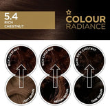 Superdrug Rich Chestnut permanent hair dye (British brand)