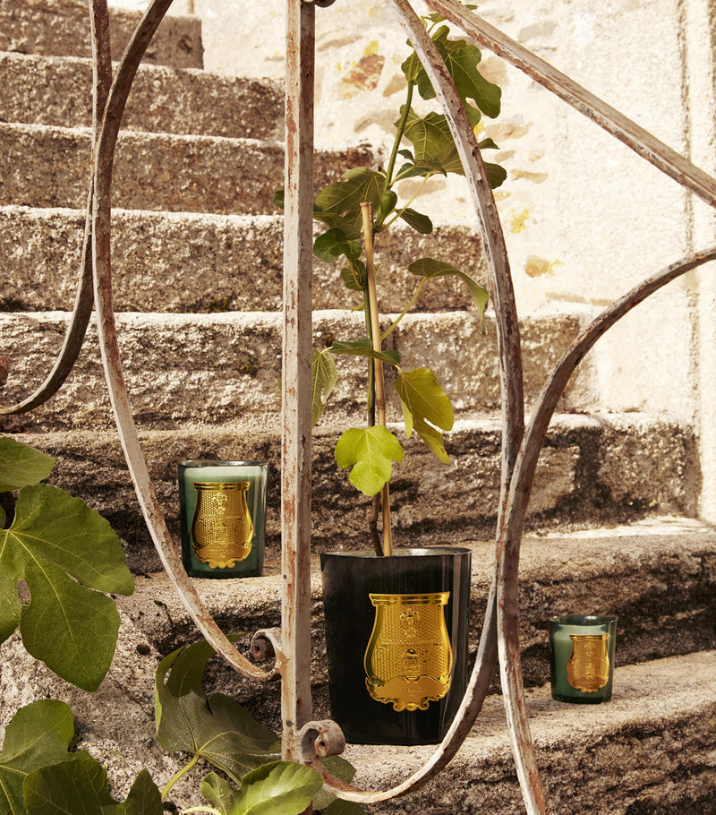 Trudon Figuerie scented candle 270g, UK version