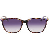 Lacoste L6016S 219 purple sunglasses, imported from the UK