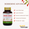 Super Botanic Berberine Advance supplement 60 capsules, imported from the UK