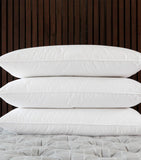 Savoir medium goose down-feather pillow 50cm x 75cm (British brand)