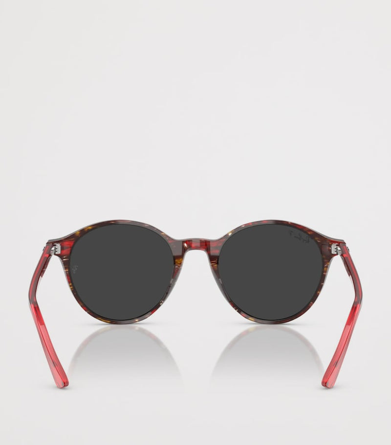 Ray-Ban RB2230 circular acetate sunglasses (British brand)