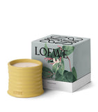 LOEWE Small Honeysuckle Scented Candle, UK version