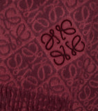 LOEWE Anagram scarf 38cm x 180cm, imported from the UK