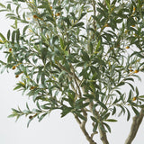 Artificial 8ft Olive Tree in Planter - McGrocer
