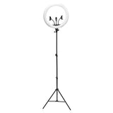 Rio dimmable LED ring light 18 inch, imported from the UK