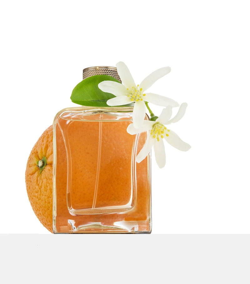 Veronique Gabai Souvenirs de Tunisie Eau de Parfum 85ml, UK version