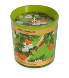 Dolce&Gabbana Arancio di Sicilia scented candle 250g, UK version