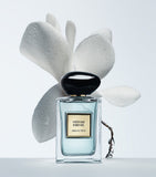 Armani Vetiver Hiver eau de toilette 50ml, imported from the UK