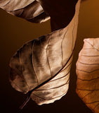 Dolce&Gabbana The One For Men eau de parfum 150ml - British product