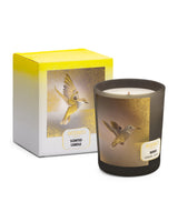Harrods MEMO PARIS Skiros Scented Candle 180g- Buy online at McGrocer