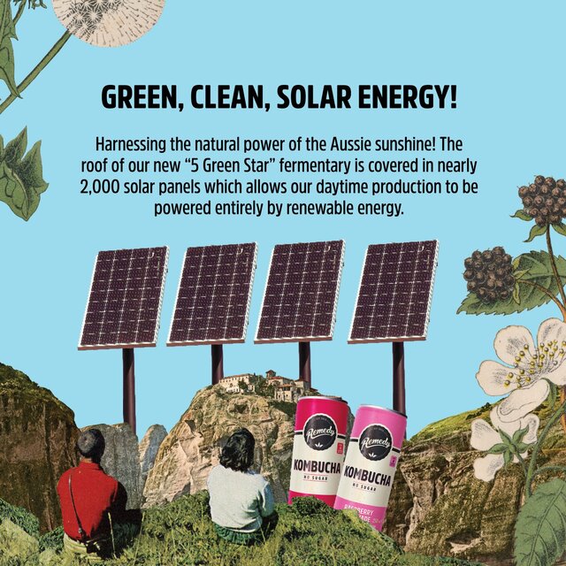 Remedy Kombucha Mango Passion Multipack 4 x 330ml - McGrocer