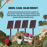 Remedy Kombucha Mango Passion Multipack 4 x 330ml - McGrocer