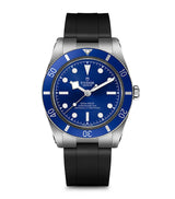 Harrods TUDOR Black Bay 54 Stainless Steel Watch 37mm- Buy online at McGrocer