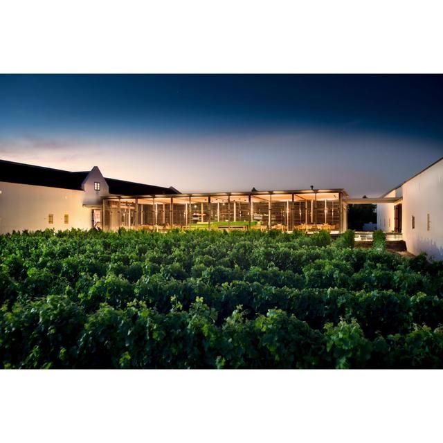 Babylonstoren Mourvedre South African Rose 75cl - McGrocer