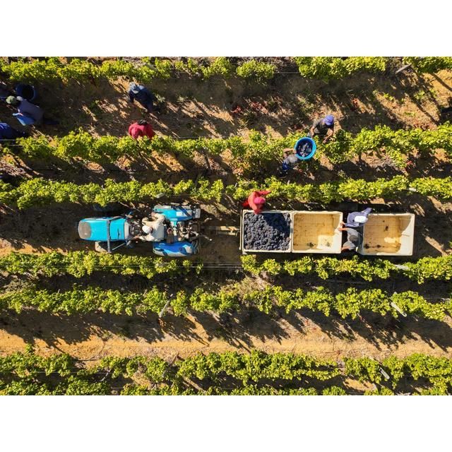 Babylonstoren Mourvedre South African Rose 75cl - McGrocer