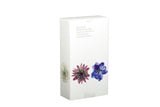 Bramley Ivy hand wash and cream gift set, 2 x 250ml (British brand)
