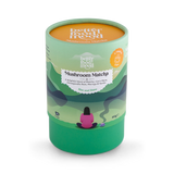 Holland & Barrett Lion's Mane Mushroom Matcha Latte Powder Blend 100g- Buy online at McGrocer