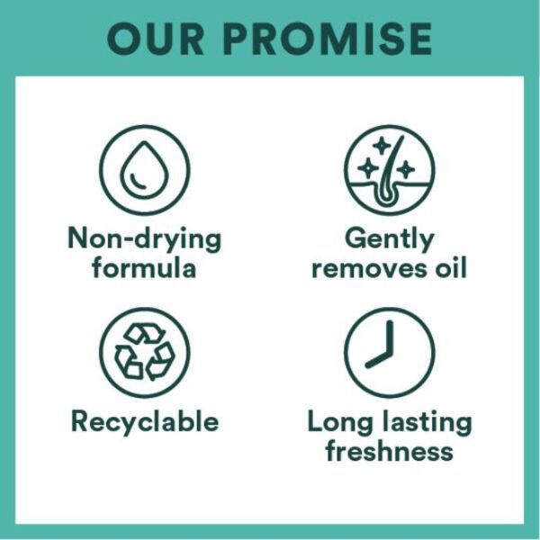 Batiste Ocean Breeze Dry Shampoo - McGrocer