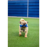 Battersea Rope Bone - McGrocer