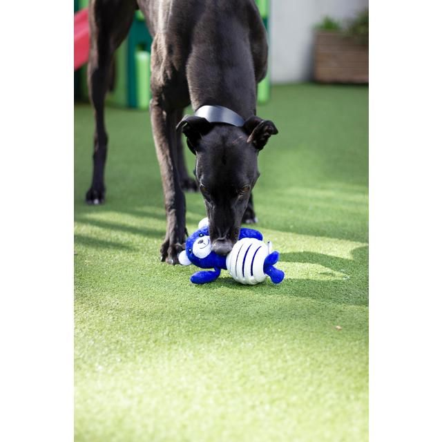 Battersea Rubber Belly Bear - McGrocer