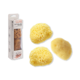 Holland & Barrett Hydréa London Cosmetic Sea Sponge Set of 3- Buy online at McGrocer