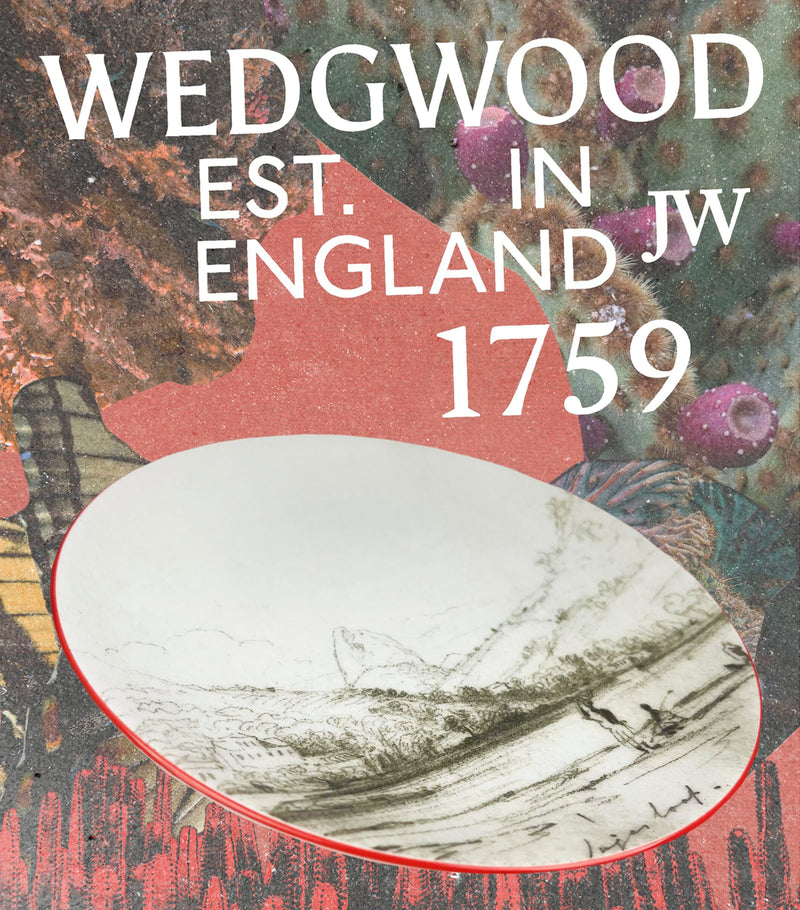 Wedgwood Voyage of the Beagle Brazil bone china set (British brand)
