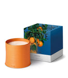 LOEWE Orange Blossom candle 4.85kg, UK version