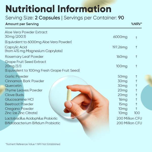 WeightWorld Candida Support vegan capsules 180 (British brand)