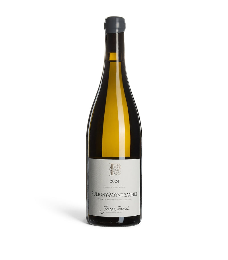 Domaine Jean Pascal Puligny-Montrachet 2024 white Burgundy wine 75cl, imported from the UK