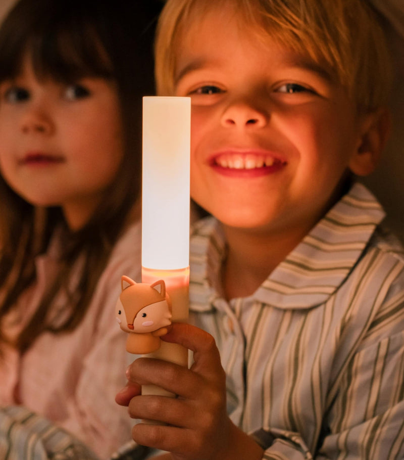 The Zoofamily Zoo Light Fox kids nightlight (British brand)
