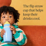 Tommee Tippee slow-flow baby bottle 260ml (British brand)