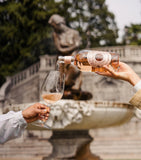 Pasqua rosé wine 2024 vintage 75cl, imported from the UK