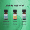 Tisserand Tea Tree Organic Pure Essential Oil 9ml (British brand)