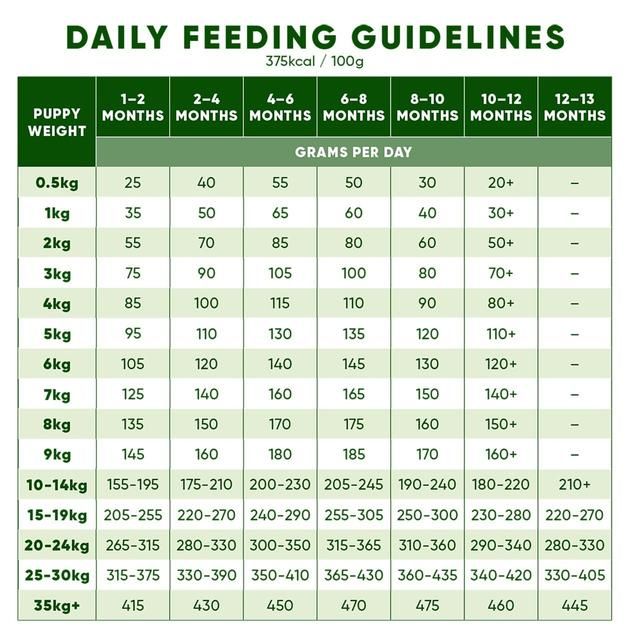 Beco Free Range Turkey with Pumpkin & Spinach Dry Food for Puppies 2kg - McGrocer