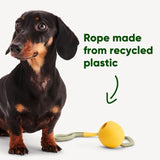 Beco Natural Rubber Slinger Ball - Orange - McGrocer