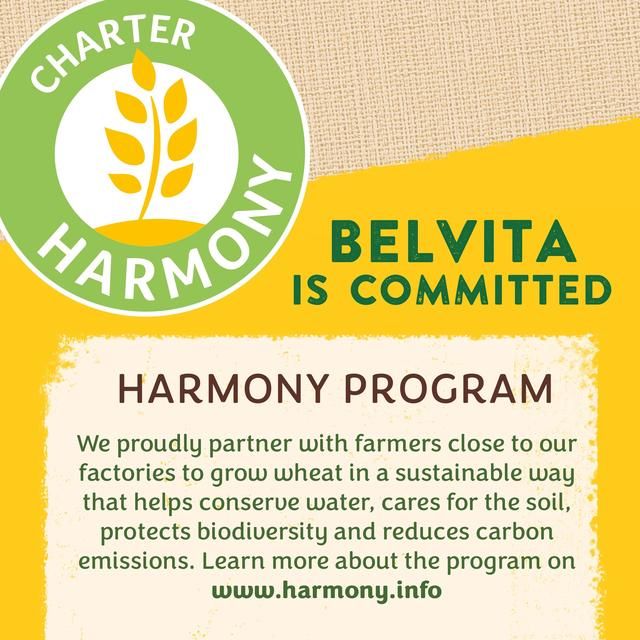 Belvita Strawberry Yogurt Duo Crunch Breakfast Biscuits 5 per pack - McGrocer