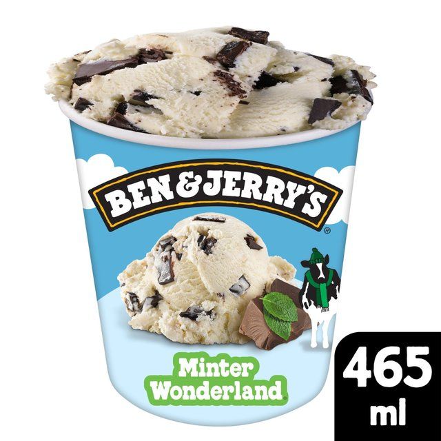 Ben & Jerry's Minter Wonderland Mint Ice Cream Tub 465ml - McGrocer