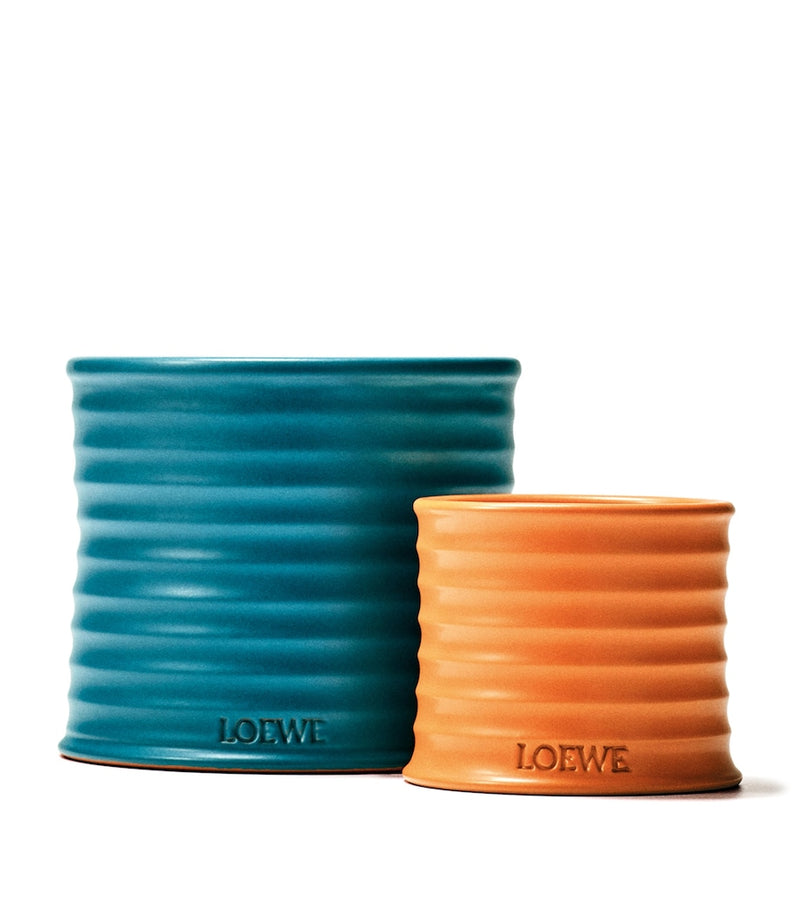 LOEWE Orange Blossom candle 4.85kg, UK version