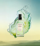 L'Occitane Cédrat Eau de Toilette 50ml (British brand)