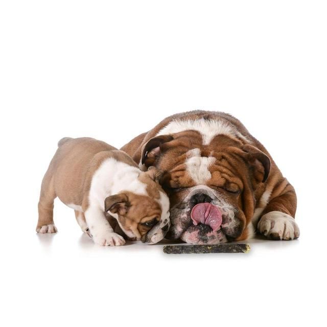 Billy & Margot Venison Chew Sticks Dog Treats 100g - McGrocer