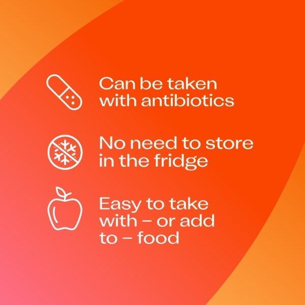 Bio-Kult Everyday Probiotics Gut Supplement 60 Capsules - McGrocer