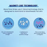 Biore Deep Cleansing Charcoal Pore Strips 6 per pack - McGrocer