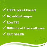 Biotiful Plant-Based Oat Kefir Yor-Gut Vanilla 350g - McGrocer