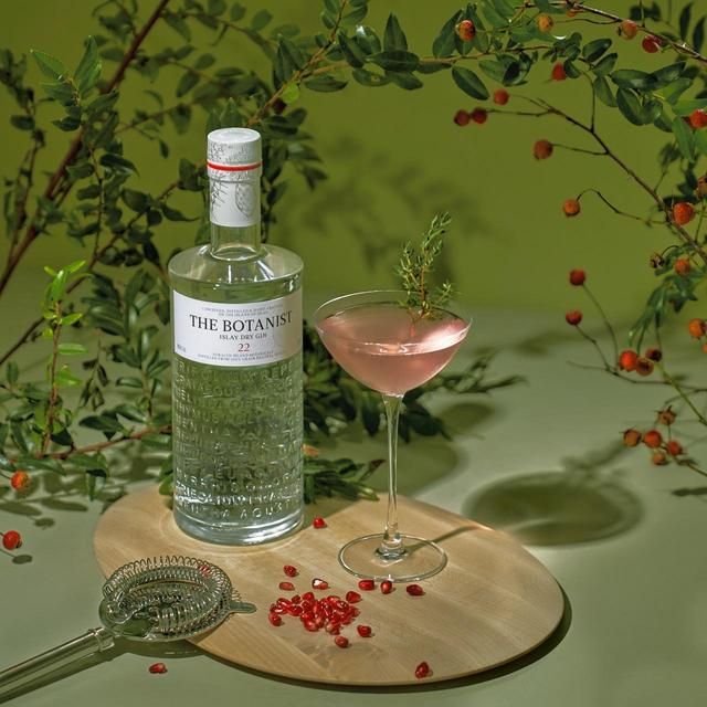 Botanist Islay Dry Gin  (Tin Planter Gift Pack)   70cl - McGrocer
